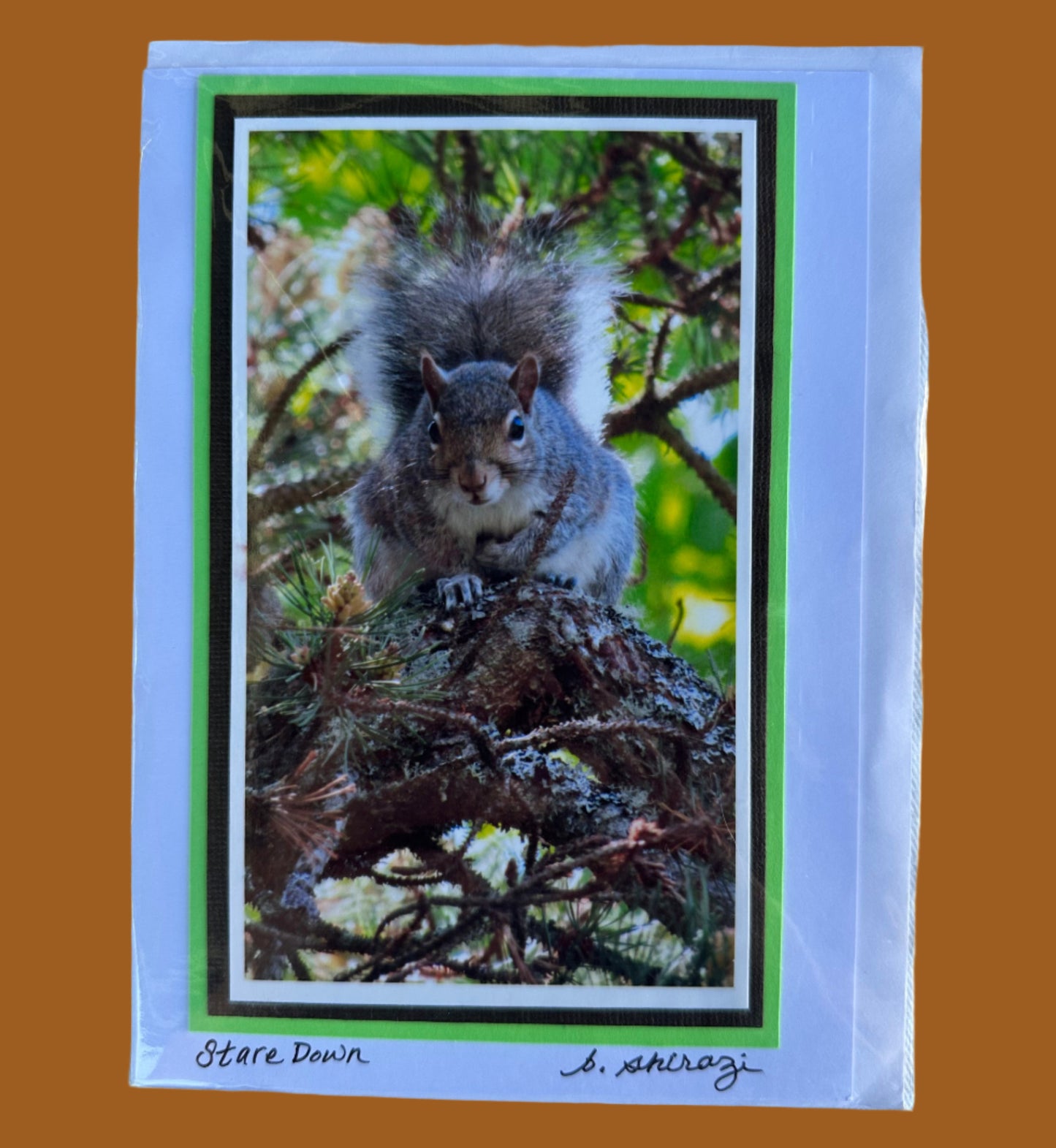 Photo of a squirrel staring straight at the camera while standing on a tree branch, attached to a white greeting card with the handwritten words "Stare Down, B Shirazi"