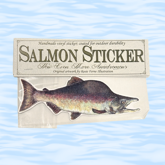Salmon-shaped sticker on a card with text about the product on a wavy blue background