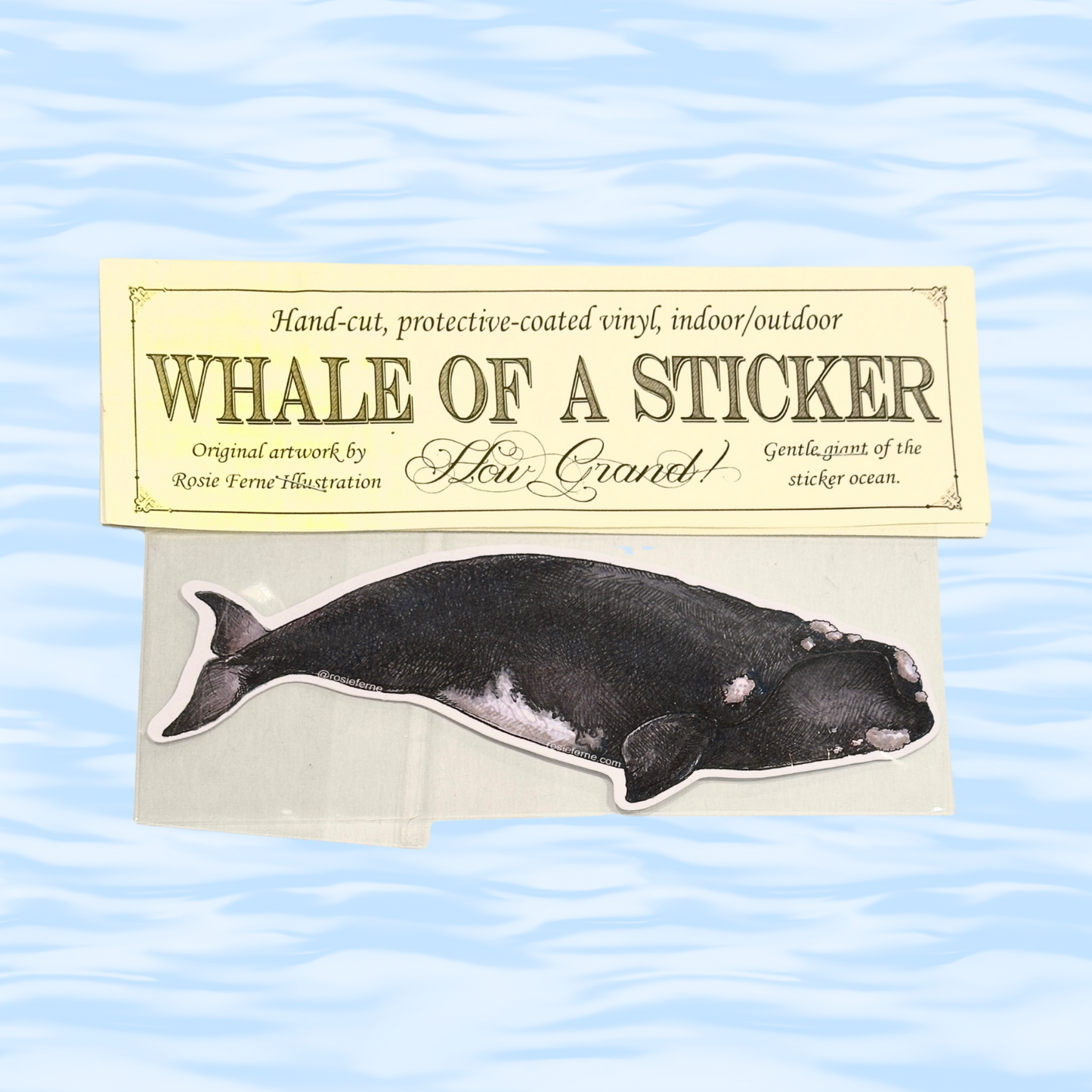 Whale-shaped sticker on a card with text about the product on a wavy blue background