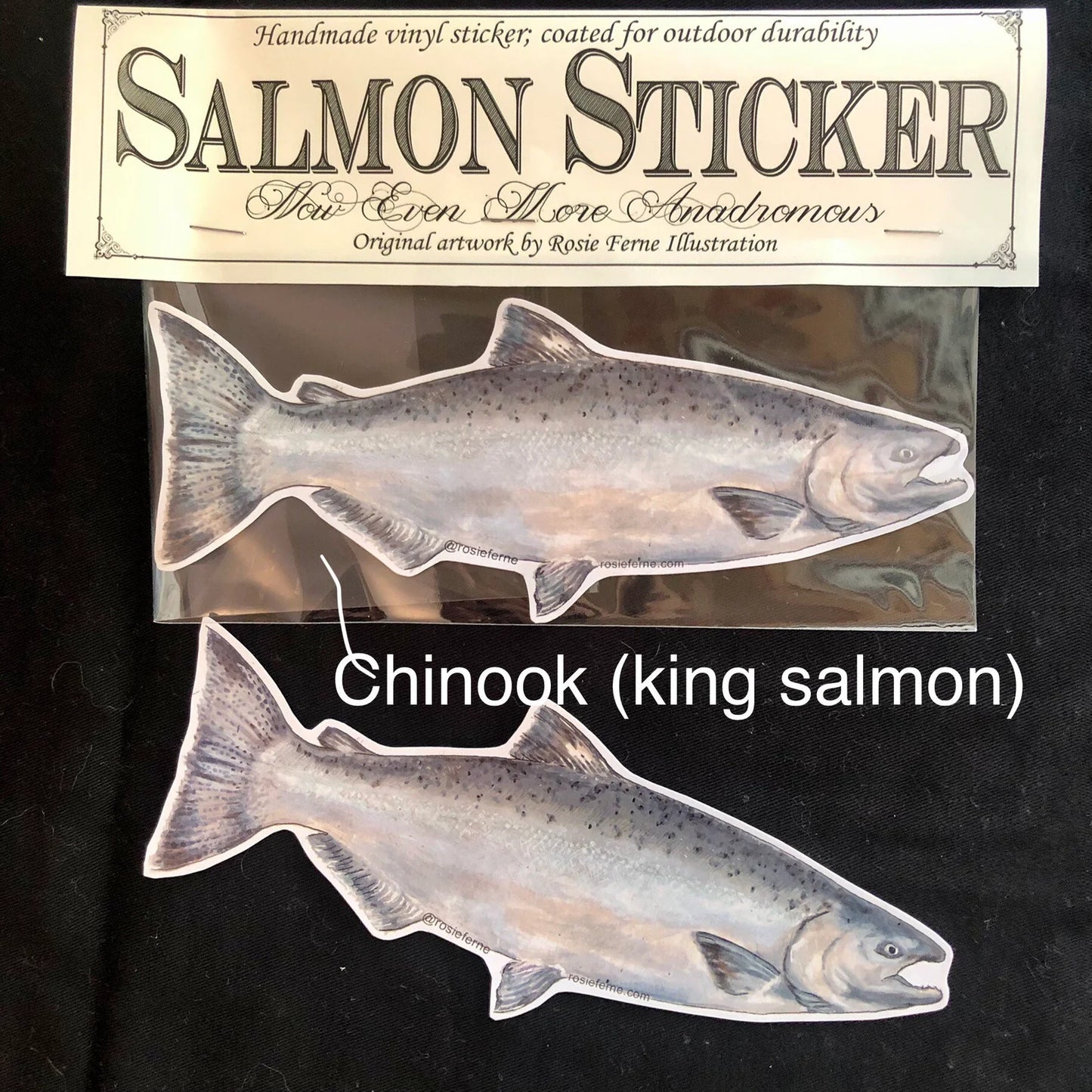 Salmon Stickers