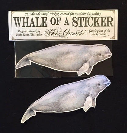 Whale Stickers