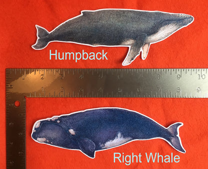 Whale Stickers