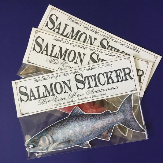 Salmon Stickers