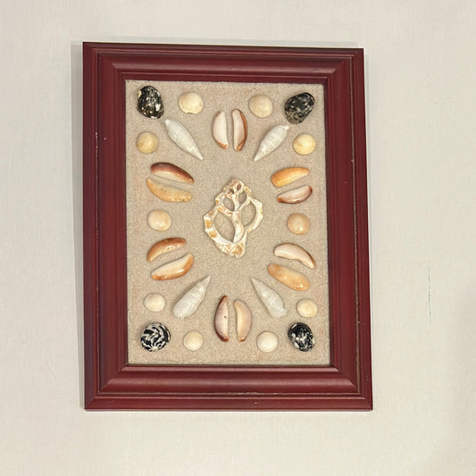 Framed collection of shells on a beige background