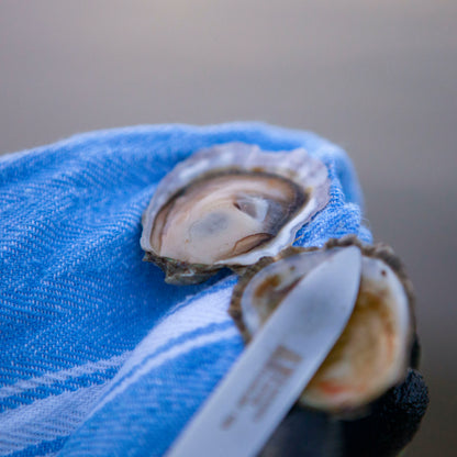 "Holy Smoly" Olympia Oysters from Similk Bay (perishable)