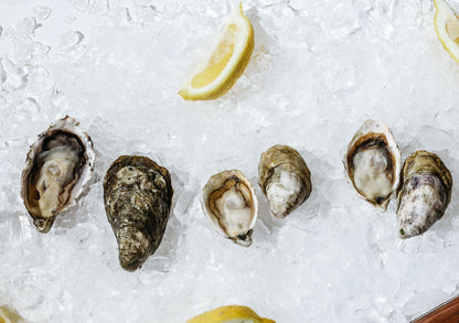 Dozen Oysters of the Month Subscription