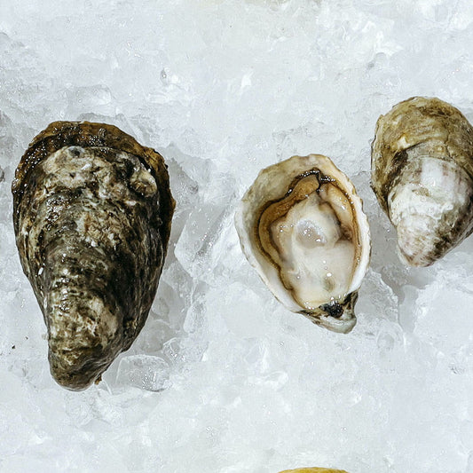 Dozen Oysters of the Month Subscription