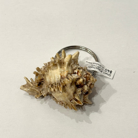 Shell keychain with a tag on a white background