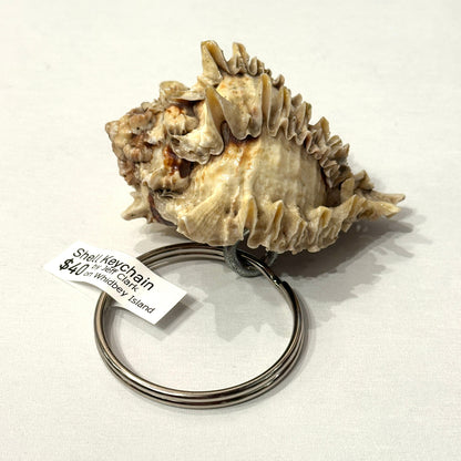 Shell keychain with a price tag on a white background