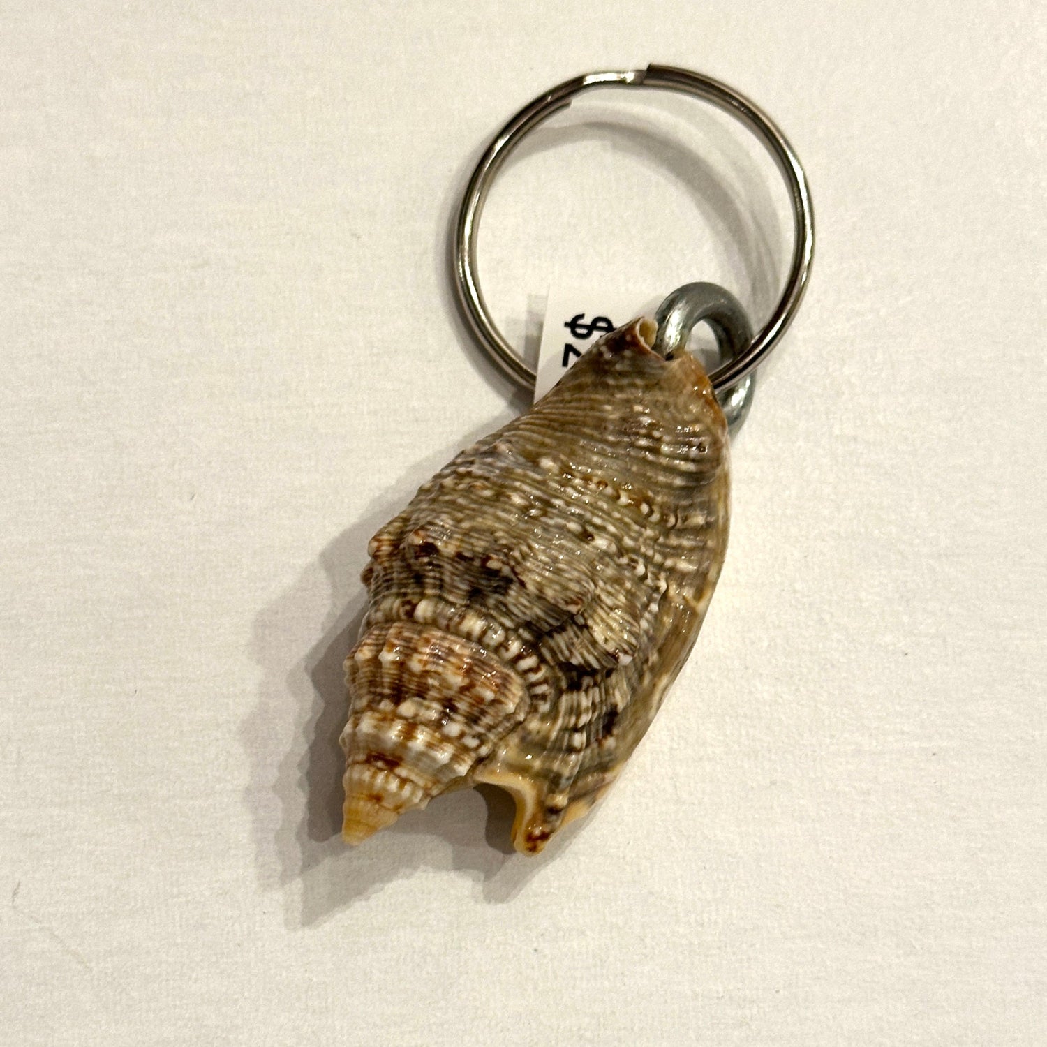 Shell keychain on a beige background