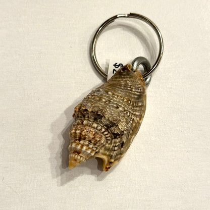 Shell keychain on a beige background