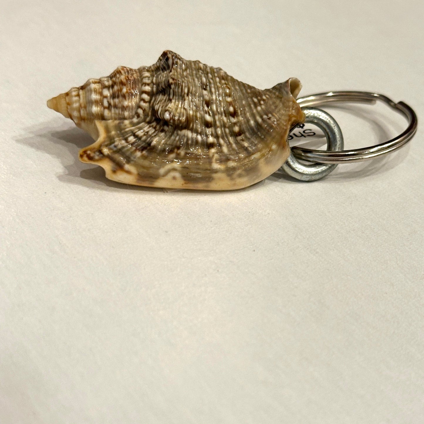 Shell-shaped keychain on a light gray background
