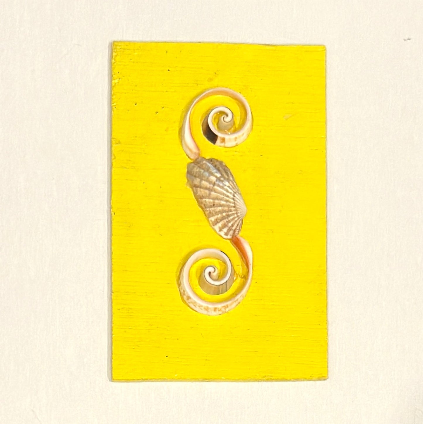 Decorative shell design on a yellow background