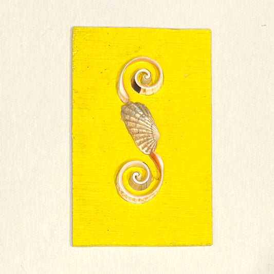 Decorative shell design on a yellow background