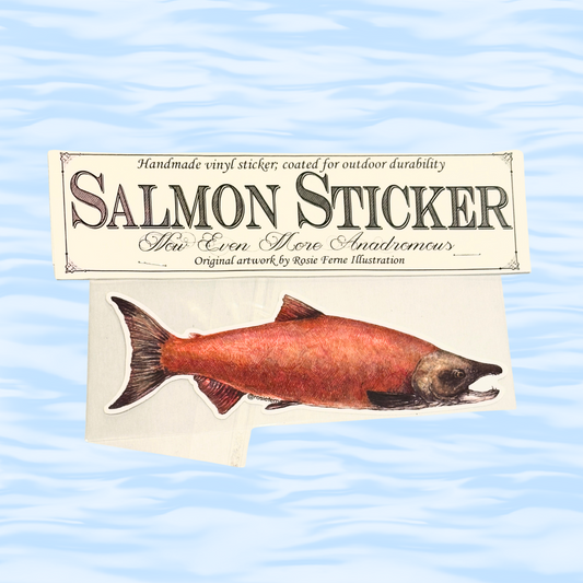 Salmon-shaped sticker on a card with text about the product on a wavy blue background