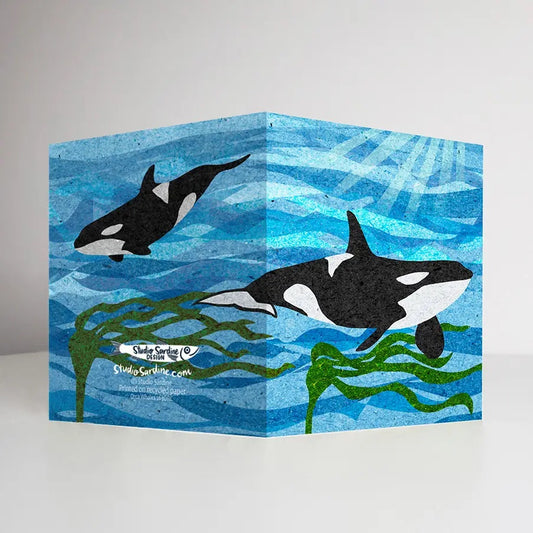 Orca Whales Greeting Card