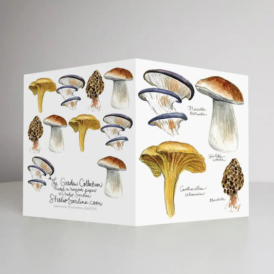 Watercolor Mushrooms Greeting Card