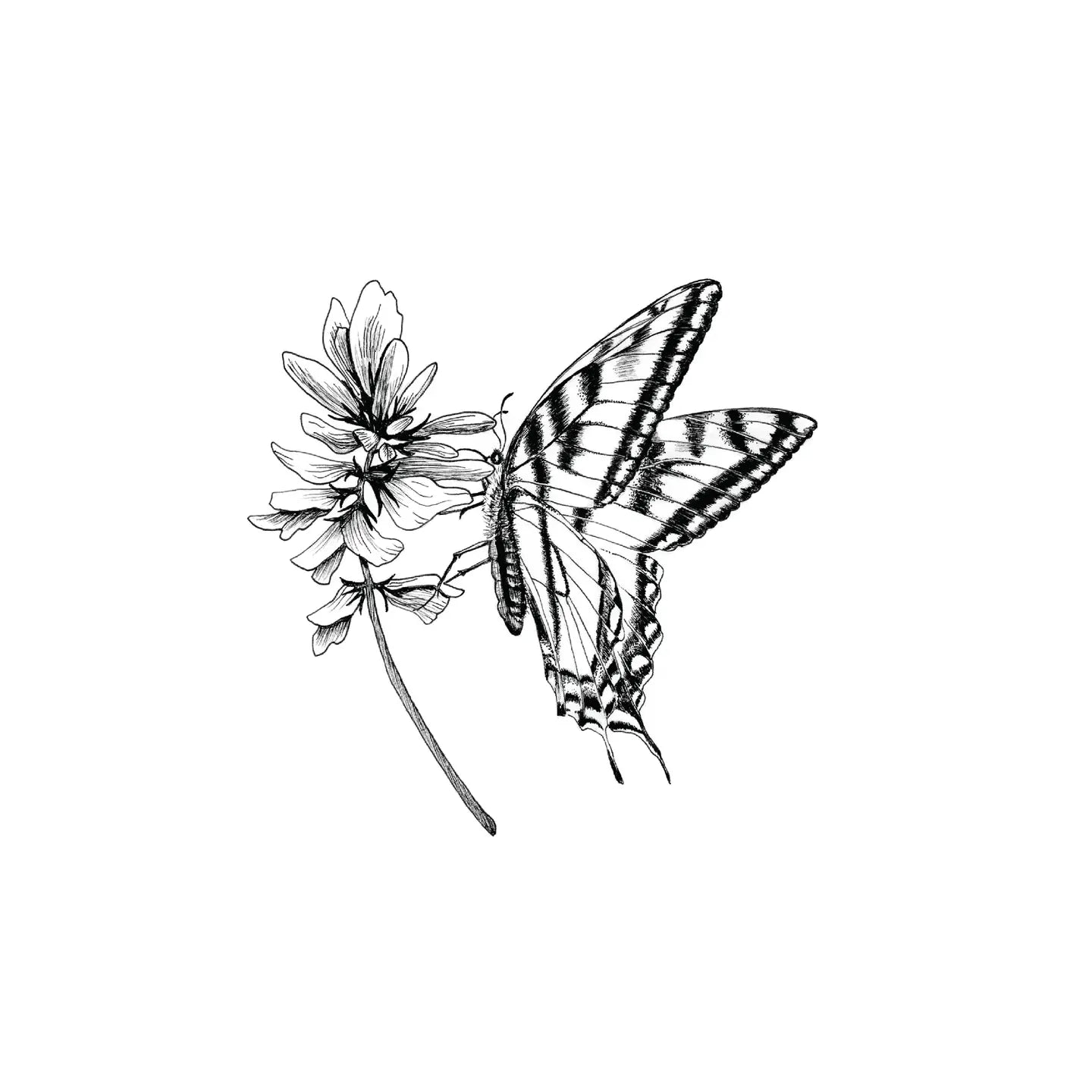 Black and white illustration of a butterfly on a flower
