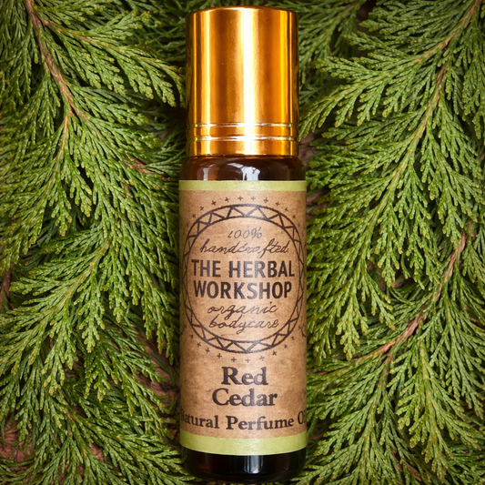 Bottle of 'Red Cedar' natural perfume oil from The Herbal Workshop on a green leaf background