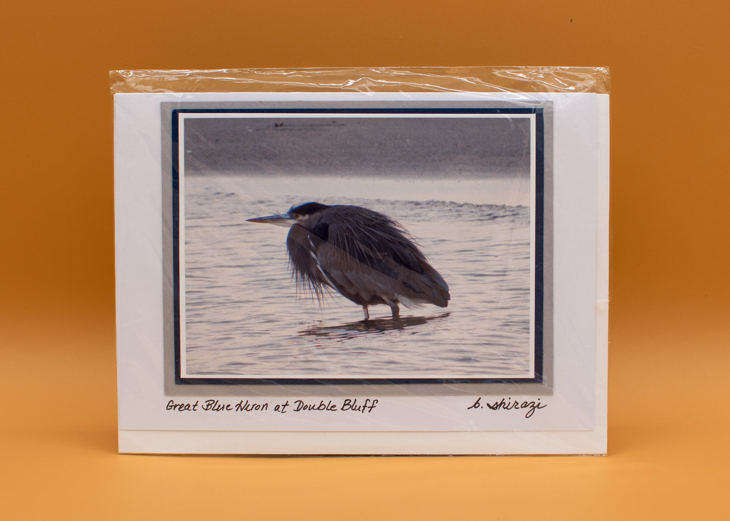 "Great Blue Heron at Double Bluff" - Whidbey Photo Greeting Card