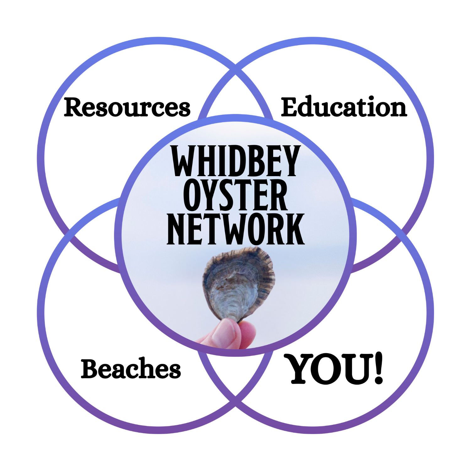 Venn diagram with 'Whidbey Oyster Network' at the center, surrounded by 'Resources', 'Education', 'Beaches', and 'YOU!' on a white background.