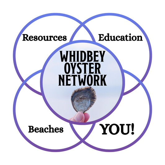 Venn diagram with 'Whidbey Oyster Network' at the center, surrounded by 'Resources', 'Education', 'Beaches', and 'YOU!' on a white background.