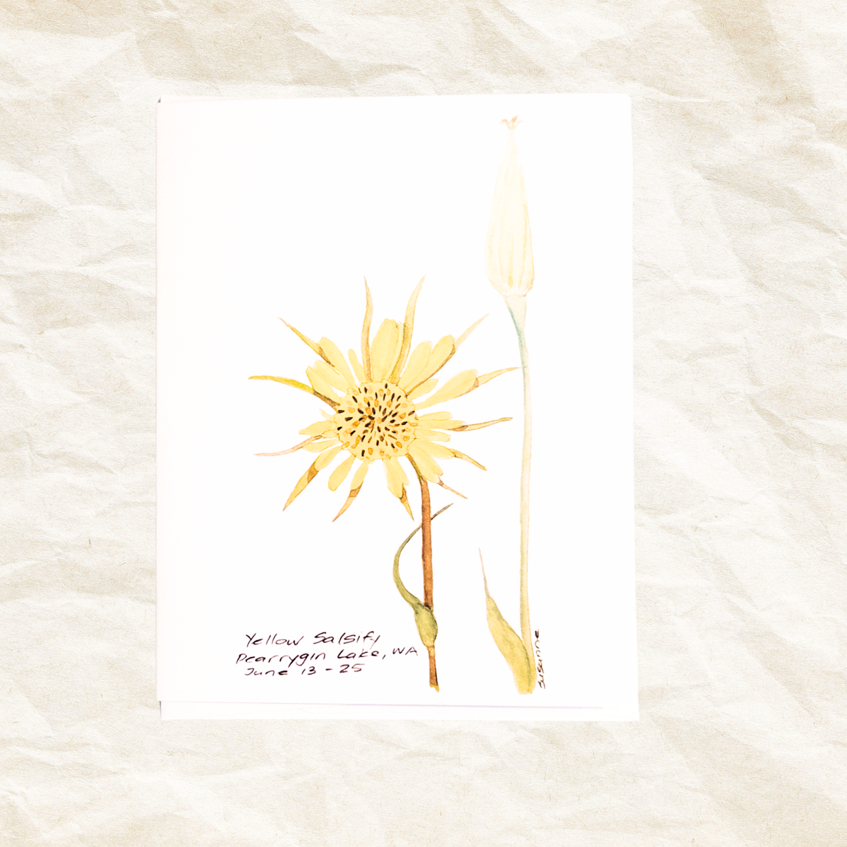 "Yellow Salsify" Greeting Card