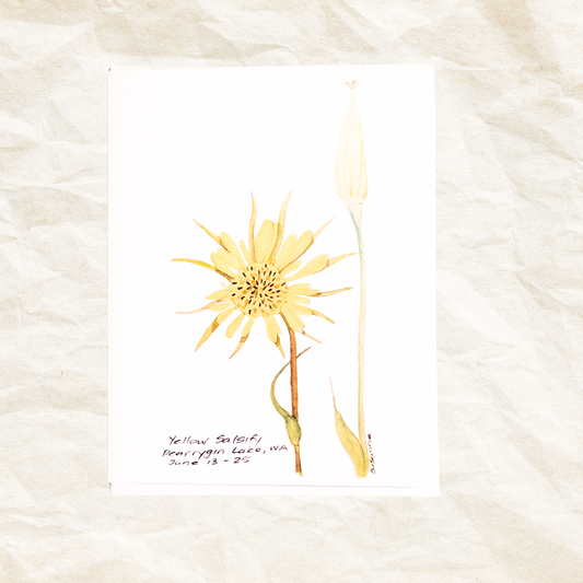 "Yellow Salsify" Greeting Card