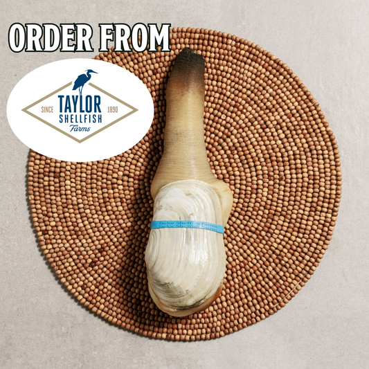 RECOMMENDED: Live Geoduck