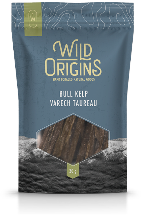 Dried Bull Kelp