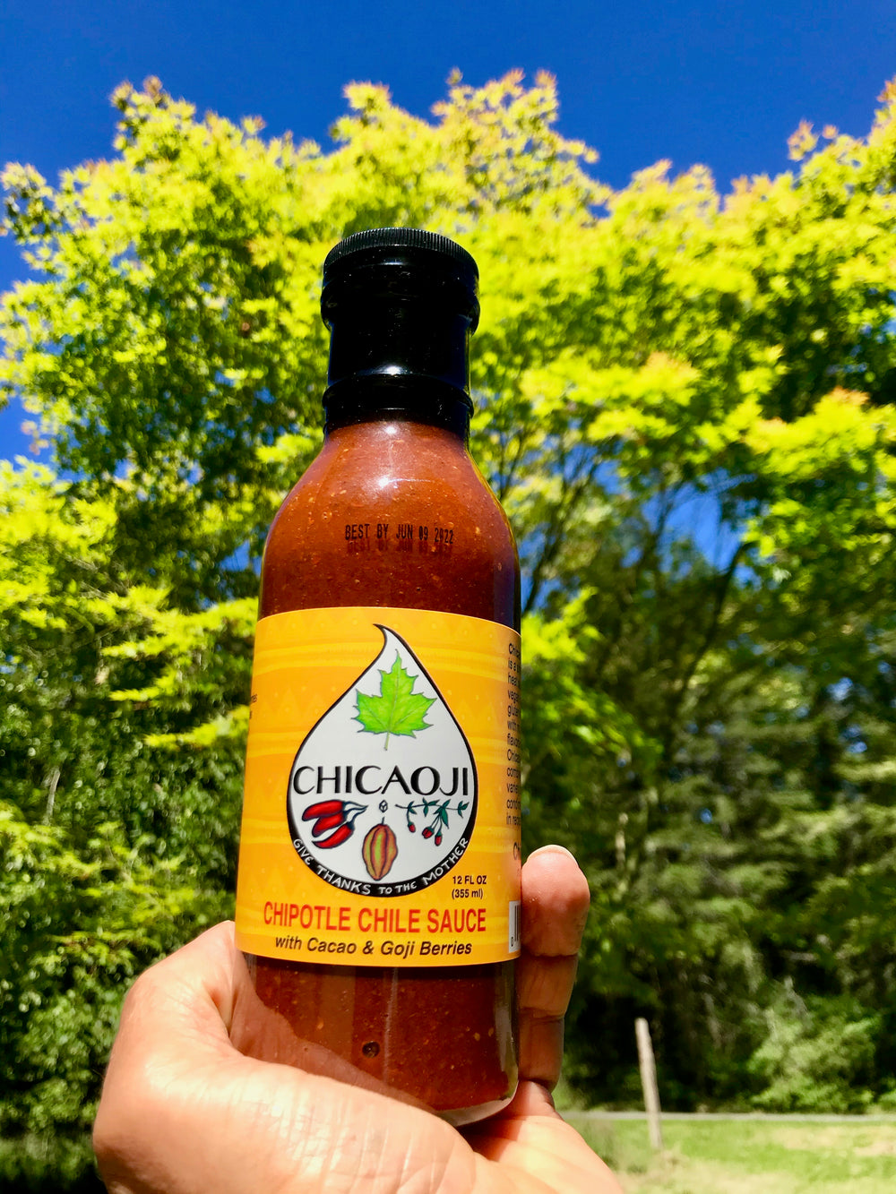 Glass bottle held by a hand in front of green trees and blue sky. The bottle is filled with red hot sauce and has a yellow label and black top. The label has a white teardrop with the symbols for a maple leaf, chili peppers, a cacao pod, and some berries. It says, 