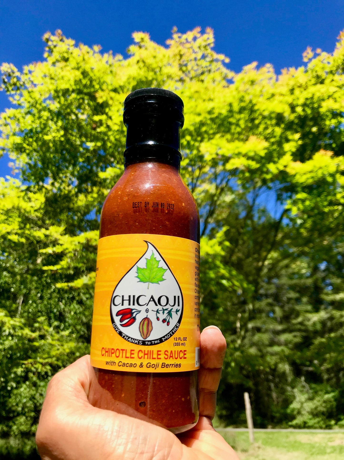 Glass bottle held by a hand in front of green trees and blue sky. The bottle is filled with red hot sauce and has a yellow label and black top. The label has a white teardrop with the symbols for a maple leaf, chili peppers, a cacao pod, and some berries. It says, "Chicaoji: Chipotle Chili Sauce with Cacao & Goji Berries"