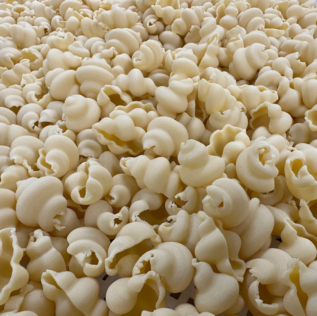 Conchiglie Pasta