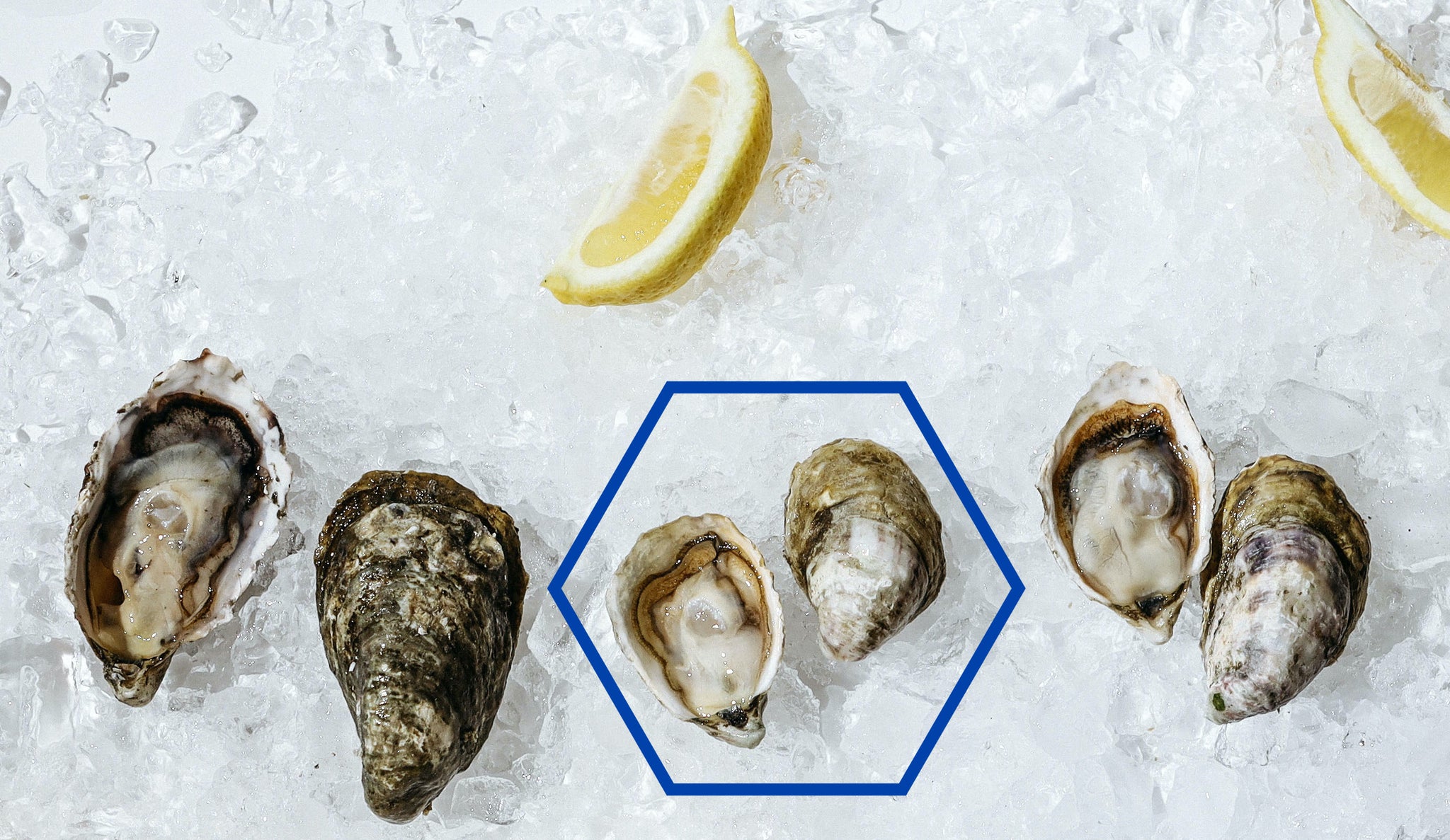 SHELLFISH – Salinity Seafood & More