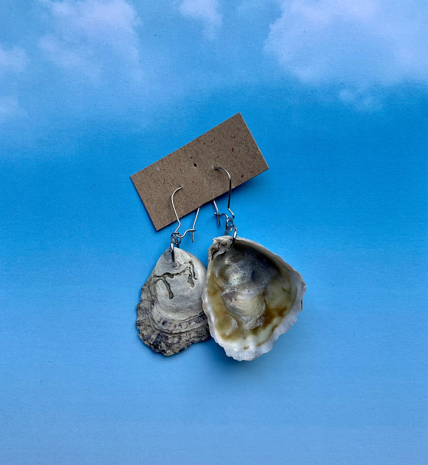 FUNDRAISER: Olympia Oyster Shell Earrings