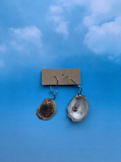 FUNDRAISER: Olympia Oyster Shell Earrings