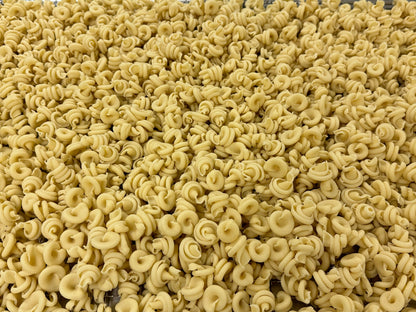 Trottole Pasta