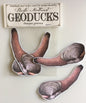 Geoduck Stickers