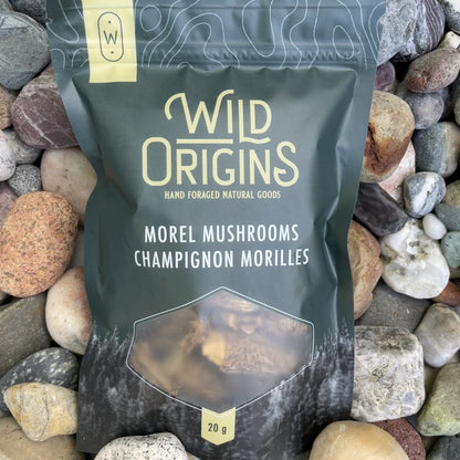 Dried Morel Mushrooms