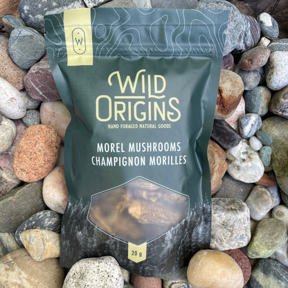 Dried Morel Mushrooms