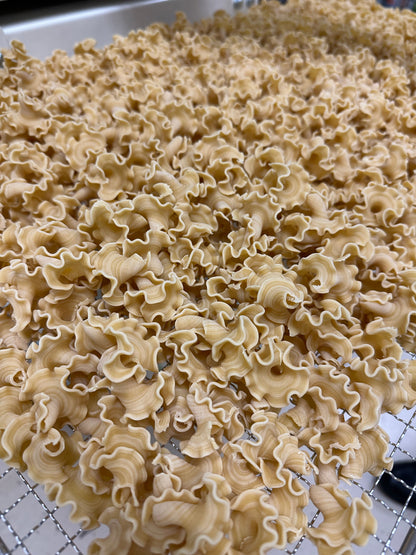 Campanelle Pasta